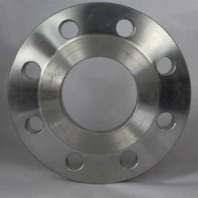 Pn25 Astm A182 Flanche in acciaio forgiato Bs 4504