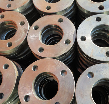 La FLANGIA 316 BS4504 PN6 PN10 PN25 PN40 PN64 PN100 di S235JR P245GH 304 ha forgiato le flange