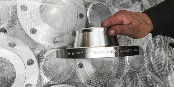 96" 150# alle FLANGE di BACCANO della FLANGIA EN1092-1 di ACCIAIO INOSSIDABILE 6000# HA FORGIATO SS304 SS316L