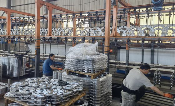 6 10 16 25 40 flange DN10 di Antivari PN160 alla flangia galvanizzata fredda DN1600