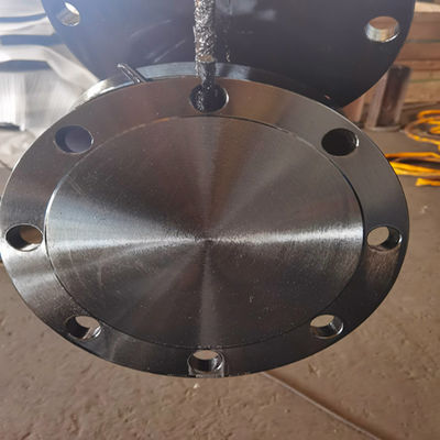 Classe D AWWA C207-07 Ring Blind Flange A105N F304 304L F316 316L della classe B